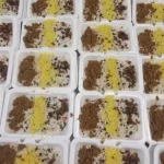 تهیه غذای خانگی ف تهران، آبشار تهران (دریاچه)