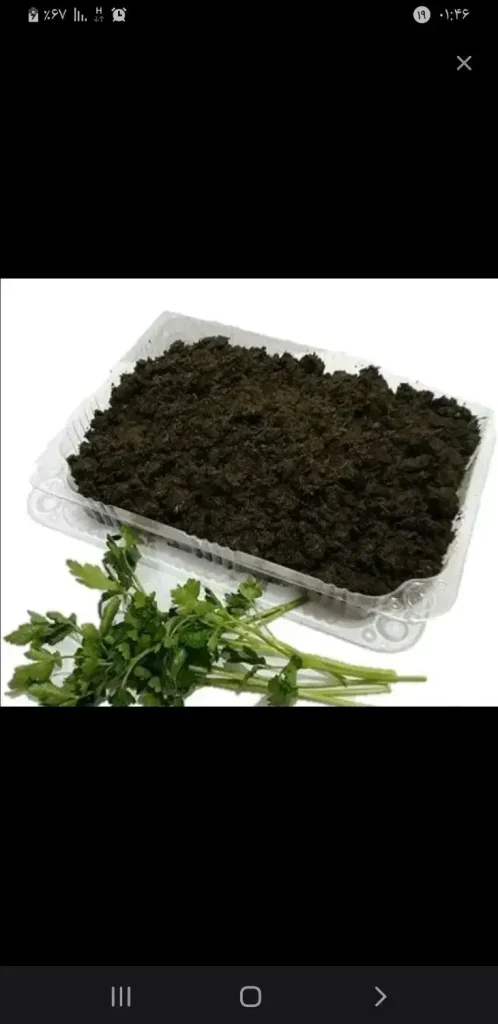 پاک کردن سبزی خورشت وآش و….تهران، تهرانپارس شرقی