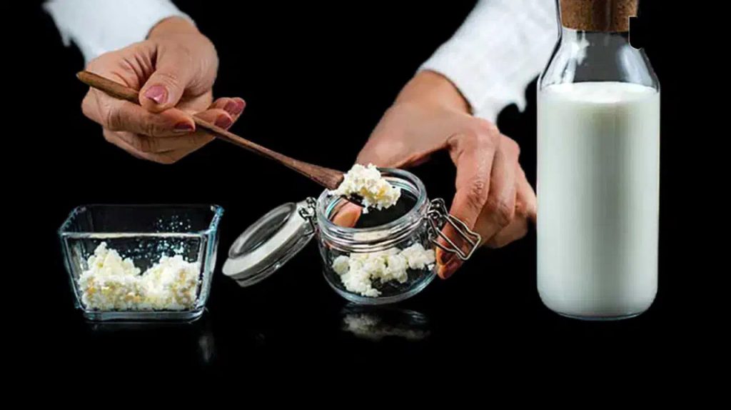 کفیر محلی (دوغ و قارچ)، تهران، پونک