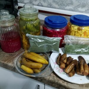 تهیه ترشیجات خانگی